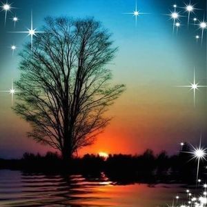 Meet your Posher, Marvin